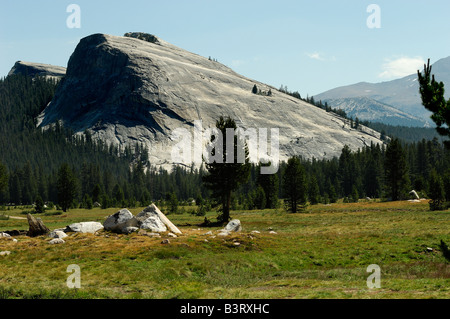 USA Californie Yosemite National Park Tioga Pass Banque D'Images