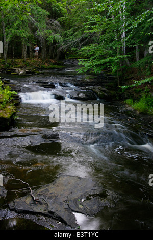 Rigolant Whitefish River Michigan aux États-Unis ruisseau rustique sauvage beau paysage personne aucune d'en haut vue verticale arrière-plan haute résolution Banque D'Images