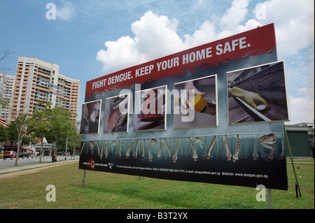 Inscrivez-avertissement contre la dengue près de Tekka market dans Little India à Singapour Banque D'Images