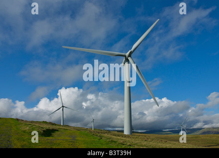 Parc Lambrigg, au-dessus de la sortie 37 de la M6, près de Windermere, Cumbria, Angleterre, Royaume-Uni Banque D'Images