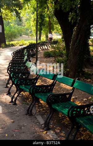 Roumanie Bucarest 2008 bancs verts et un homme dans le jardin Cismigiu le matin Banque D'Images