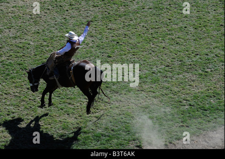 Professional Rodeo Cowboy saddle bronc bronco du cheval tous les pieds du sol wild ride tough wiley horse exceptionnellement difficile Banque D'Images