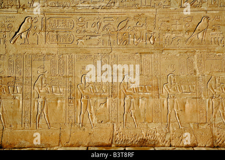 Chiffres et cartouches sur pylônes principaux d'entrée au Temple d'Horus d'Edfou, Égypte, Banque D'Images