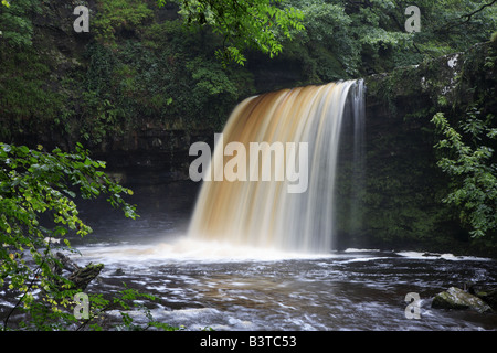 Sgwd Gwladus Pontneddfechan Wales UK Banque D'Images