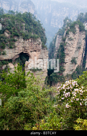 L'Asie, la Chine, la Province de Hunnan, Zhangjiajie National Forest Park. Banque D'Images