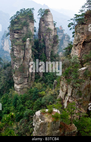 L'Asie, la Chine, la Province de Hunnan, Zhangjiajie National Forest Park. Banque D'Images