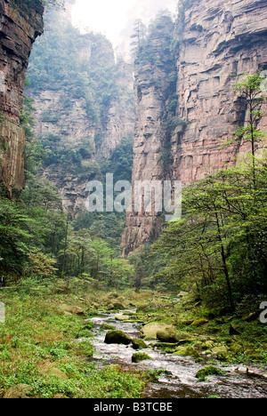 L'Asie, la Chine, la Province de Hunnan, Zhangjiajie National Forest Park. Banque D'Images