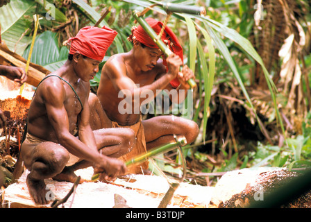 L'Océanie, l'Indonésie, l'île de Ceram, Maluku. Les gens Naulu. Banque D'Images