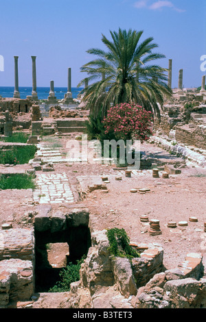 L'Asie, Liban. Ancien port utilisé par les croisés. Banque D'Images