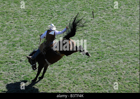 Tronçonnage bronco bronc riding cowboy wild ride tough wiley horse exceptionnellement difficile ride white caucasian Banque D'Images