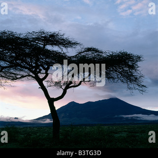 Région d'Arusha, Tanzanie, l'aube sur le Mont Meru (14 980 pieds). Indique que sa forme, le Mont Meru est un volcan, qui a été Banque D'Images