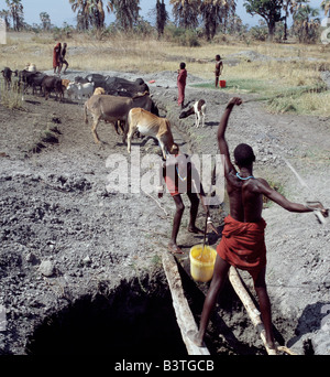 La Tanzanie, le nord de la Tanzanie, de Manyara. Deux jeunes hommes Datoga puits de travail sur le côté est du lac Manyara, à l'eau leur bétail. L'homme qui attire l'eau en équilibre précaire sur deux pôles.L (Datoga connus par leurs voisins comme le Maasai Mang'ati et pour les Iraqws comme Babaraig) vivent dans le nord de la Tanzanie et sont principalement des éleveurs. Banque D'Images