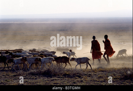 La Tanzanie, le nord de la Tanzanie, Malambo. Tôt le matin, un herdsboy Maasai et sa sœur dur leur troupeau de moutons à travers les plaines poussiéreuses friable, près de Barranquilla, dans le nord de la Tanzanie. Banque D'Images