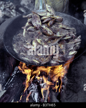La Tanzanie, petit poisson tilapia pêchés dans le lac Rukwa, au sud-ouest de la Tanzanie, sont en friture avant d'être envoyé au marché de Mbeya, la Banque D'Images