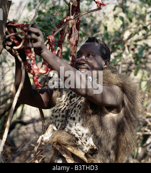 La Tanzanie, Arusha, le lac Eyasi. Un chasseur Hadza portant les peaux d'un babouin et genet cat se bloque des bandes d'impala viande dans une arborescence pour sécher au soleil.Les Hadzabe sont une communauté forte de milliers de chasseurs-cueilleurs qui ont vécu dans le bassin du lac Eyasi depuis des siècles. Ils sont l'un des quatre ou cinq sociétés dans le monde qui continuent de gagner leur vie principalement de ressources sauvages. Banque D'Images