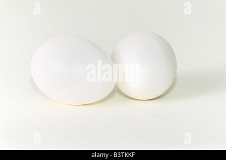 Un silo de deux œufs entiers dans le shell sur un fond blanc. Banque D'Images