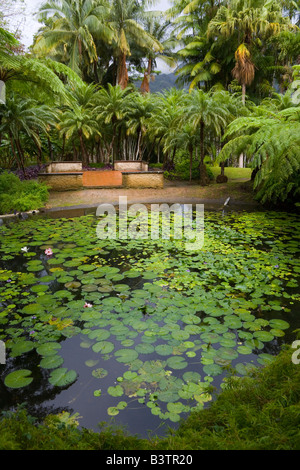 Martinique, Antilles françaises, Caraïbes, étang au jardin de balata Banque D'Images