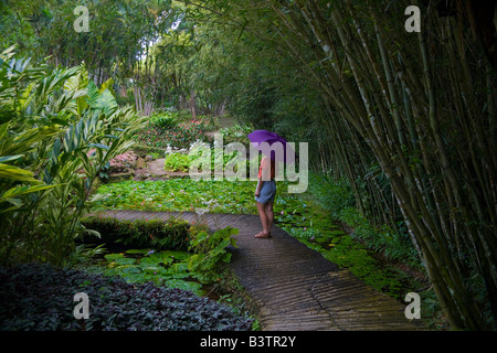 La Martinique. Antilles françaises. West Indies. Visiteur dans le passage libre au jardin de balata Balata (jardin). (MR) Banque D'Images