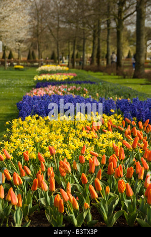 Pays-bas (Hollande), aka lisse. Jardins de Keukenhof, le plus grand parc floral de l'ampoule. Banque D'Images