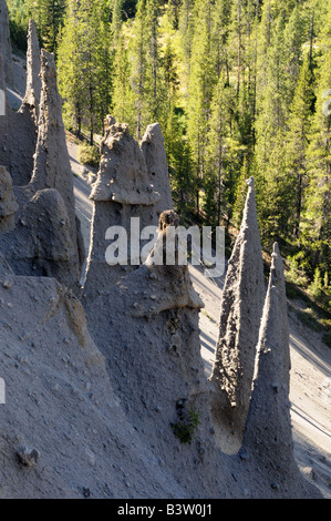 Les Pinnacles. Le Crater Lake National Park, Oregon, USA. Banque D'Images