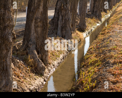 Les canaux d'irrigation pour la production agricole dans la province de San Juan, Argentine Banque D'Images