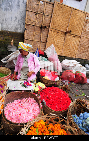 Vieille dame balinais vente de fleurs pour les offrandes et rituels , matin , marché d'ubud ubud , île de Bali , Indonésie Banque D'Images