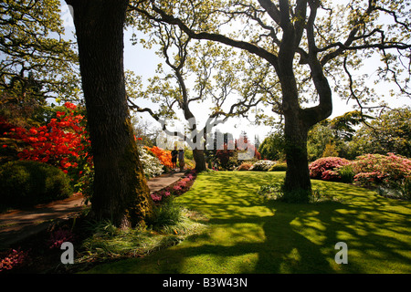 Les jardins de l'Abkhazie à Victoria, Colombie-Britannique, Canada Banque D'Images