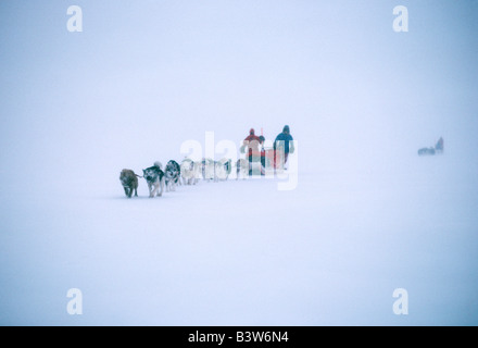 Traîneaux à chiens et mushers dans le blizzard la formation pour l'expédition polaire internationale Steger 1986 Banque D'Images