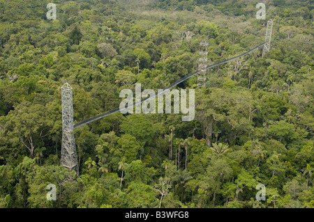 Canopy Walkway. Sacha Lodge sur Pilche Cocha (lac) de la rivière Napo, bordant le parc national Yasuní Forêt Amazonienne. L'Équateur. Banque D'Images