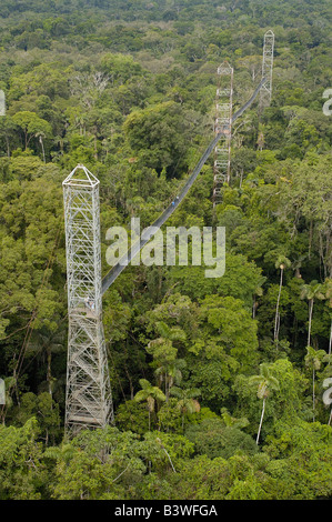 Canopy Walkway. Sacha Lodge sur Pilche Cocha (lac). à l'extérieur de la rivière Napo, bordant le parc national Yasuní Forêt Amazonienne. L'Équateur. Banque D'Images