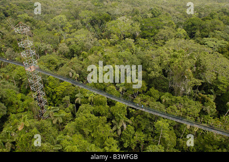 Canopy Walkway. Sacha Lodge sur Pilche Cocha (lac). à l'extérieur de la rivière Napo, bordant le parc national Yasuní Forêt Amazonienne. L'Équateur. Banque D'Images