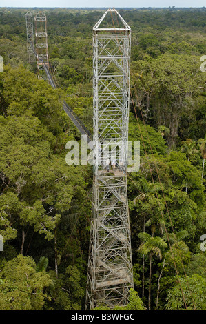 Canopy Walkway. Sacha Lodge sur Pilche Cocha (lac). à l'extérieur de la rivière Napo, bordant le parc national Yasuní Forêt Amazonienne. L'Équateur. Banque D'Images