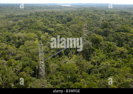 Canopy Walkway. Sacha Lodge sur Pilche Cocha (lac). à l'extérieur de la rivière Napo, bordant le parc national Yasuní Forêt Amazonienne. L'Équateur. Banque D'Images