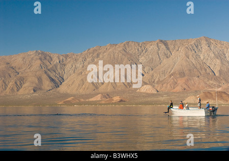 Mexique, Baja California, ventre Îles, Mer de Cortez, Bahia de Los Angeles Banque D'Images