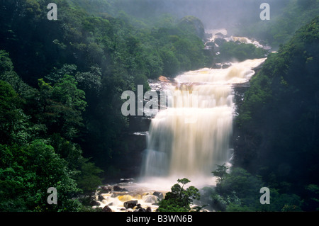 L'Amérique du Sud, Venezuela, Parc national Canaima, Angel Falls. Vue de la base des chutes. Banque D'Images