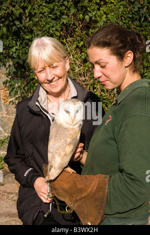 UK Wales Clwyd Abergele Welsh Mountain Zoo et visiteur avec gestionnaire d'effraie des clochers sur bras Banque D'Images