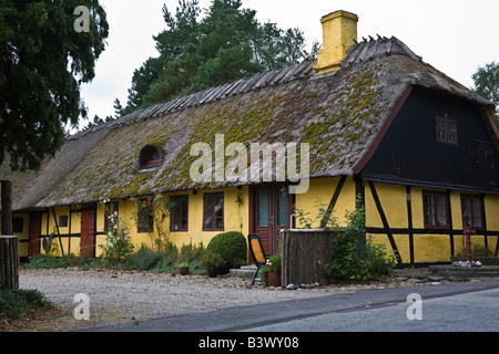 Chaumière typiquement danois près de Vejlø, la Nouvelle-Zélande, le Danemark Banque D'Images