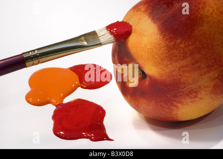 Une photo d'un artiste conceptuel s'appliquant au pinceau rouge vibrant et orange pour une nectarine Banque D'Images