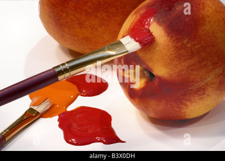 Une photo conceptuelle d'un pinceau de l'artiste l'application de couleur rouge vif et orange pour une nectarine Banque D'Images