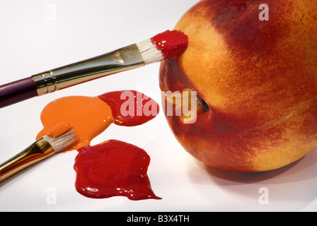 Une photo d'un artiste conceptuel s'appliquant au pinceau rouge vibrant et orange pour une nectarine Banque D'Images