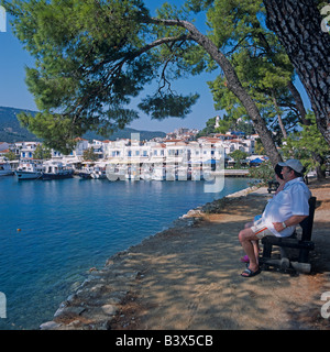 Homme assis sous un olivier dans le port, la ville de Skiathos Skiathos îles grecques Grèce Hellas Banque D'Images