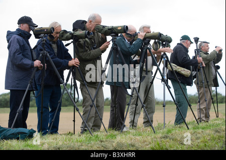 Un groupe d'twitchers armés de télescopes sur trépieds recherchez un oiseau rare près de York Yorkshire UK Banque D'Images