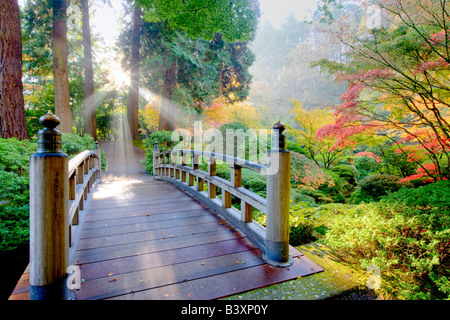 Bridge les rayons du soleil à travers le brouillard et les érables japonais couleur automne Jardins Japonais Portland Portland Oregon Banque D'Images
