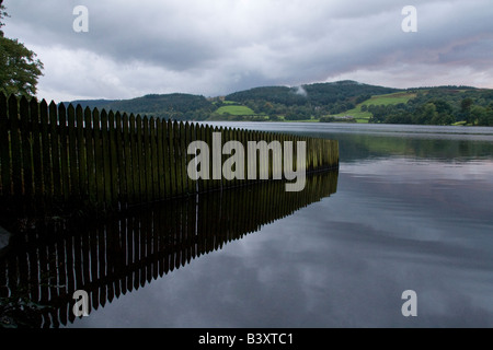 Ligne de clôture en Esthwaite Water, près de Hawkshead, Ambleside, Lake District, Cumbria, Angleterre Banque D'Images