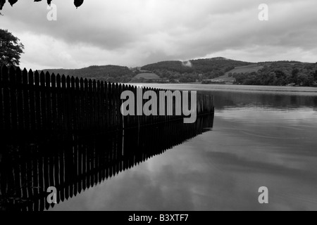 Ligne de clôture en Esthwaite Water, près de Hawkshead, Lake District, Cumbria Banque D'Images