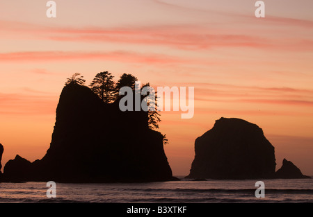 Seastacks et le coucher du soleil, Point d'Arches, Shi Shi Beach, Olympic National Park, Washington Banque D'Images
