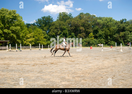 L'homme sur cheval au galop Banque D'Images