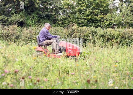 Man mowing lawn sur une tondeuse à Banque D'Images