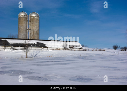 Scène de ferme avec longue grange avec deux silos derrière un vaste champ couvert de neige en hiver avec ciel bleu Banque D'Images