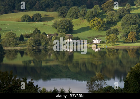 Les logements pli Gate reflète dans Esthwaite Water, près de Hawkshead, Ambleside, Parc National de Lake District, Cumbria, Angleterre Banque D'Images